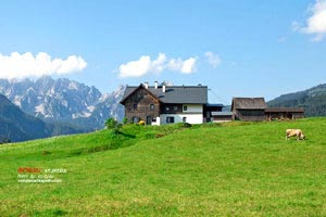 鹽津有什么旅游景點(diǎn)(鹽津有什么旅游景點(diǎn)好玩)