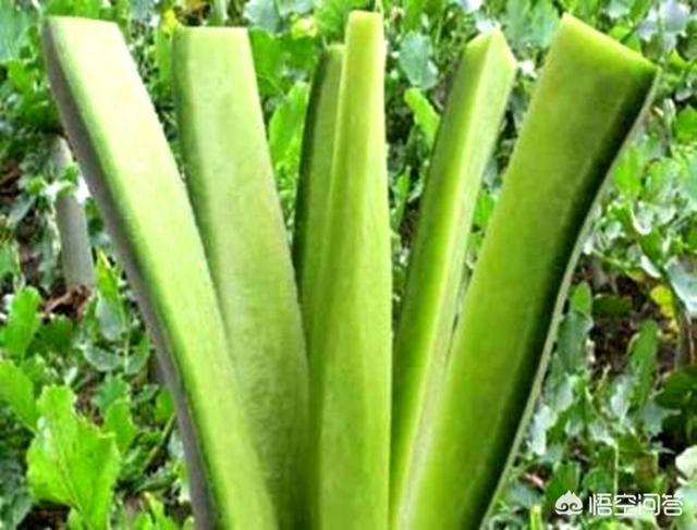 冬天吃什么水果比較好呢？